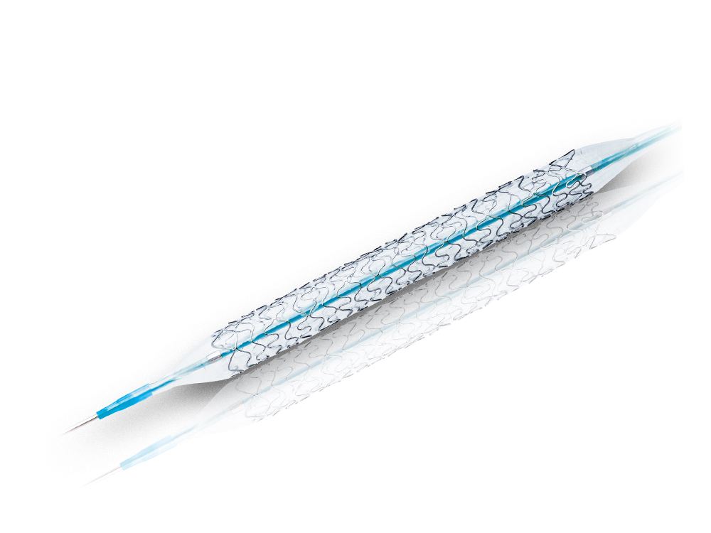 H-Stent™冠状动脉支架系统