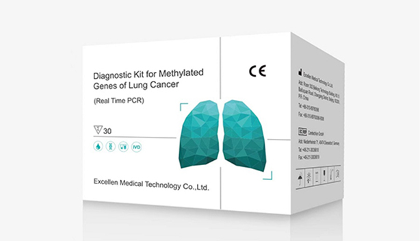 用于肺癌甲基化基因的诊断试剂盒