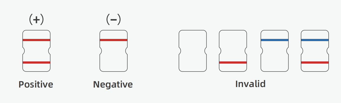 抗原测试盒结果